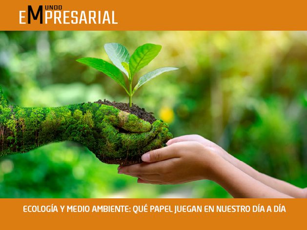 ECOLOGÍA Y MEDIO AMBIENTE: QUÉ PAPEL JUEGAN EN NUESTRO DÍA A DÍA