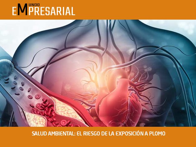 SALUD AMBIENTAL: EL RIESGO DE LA EXPOSICIÓN A PLOMO