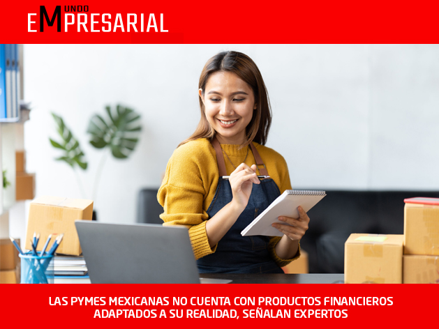 LAS PYMES MEXICANAS NO CUENTA CON PRODUCTOS FINANCIEROS ADAPTADOS A SU REALIDAD, SEÑALAN EXPERTOS
