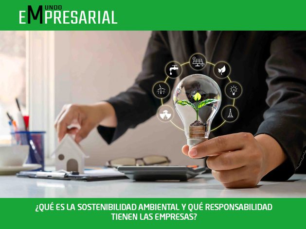 ¿QUÉ ES LA SOSTENIBILIDAD AMBIENTAL Y QUÉ RESPONSABILIDAD TIENEN LAS EMPRESAS?