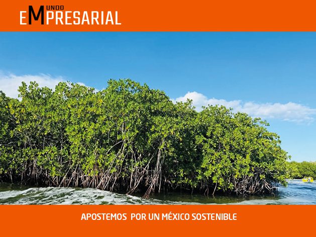 APOSTEMOS  POR UN MÉXICO SOSTENIBLE