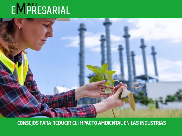 IMPACTO AMBIENTAL EN LAS INDUSTRIAS