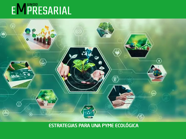 ESTRATEGIAS PARA UNA PYME ECOLÓGICA