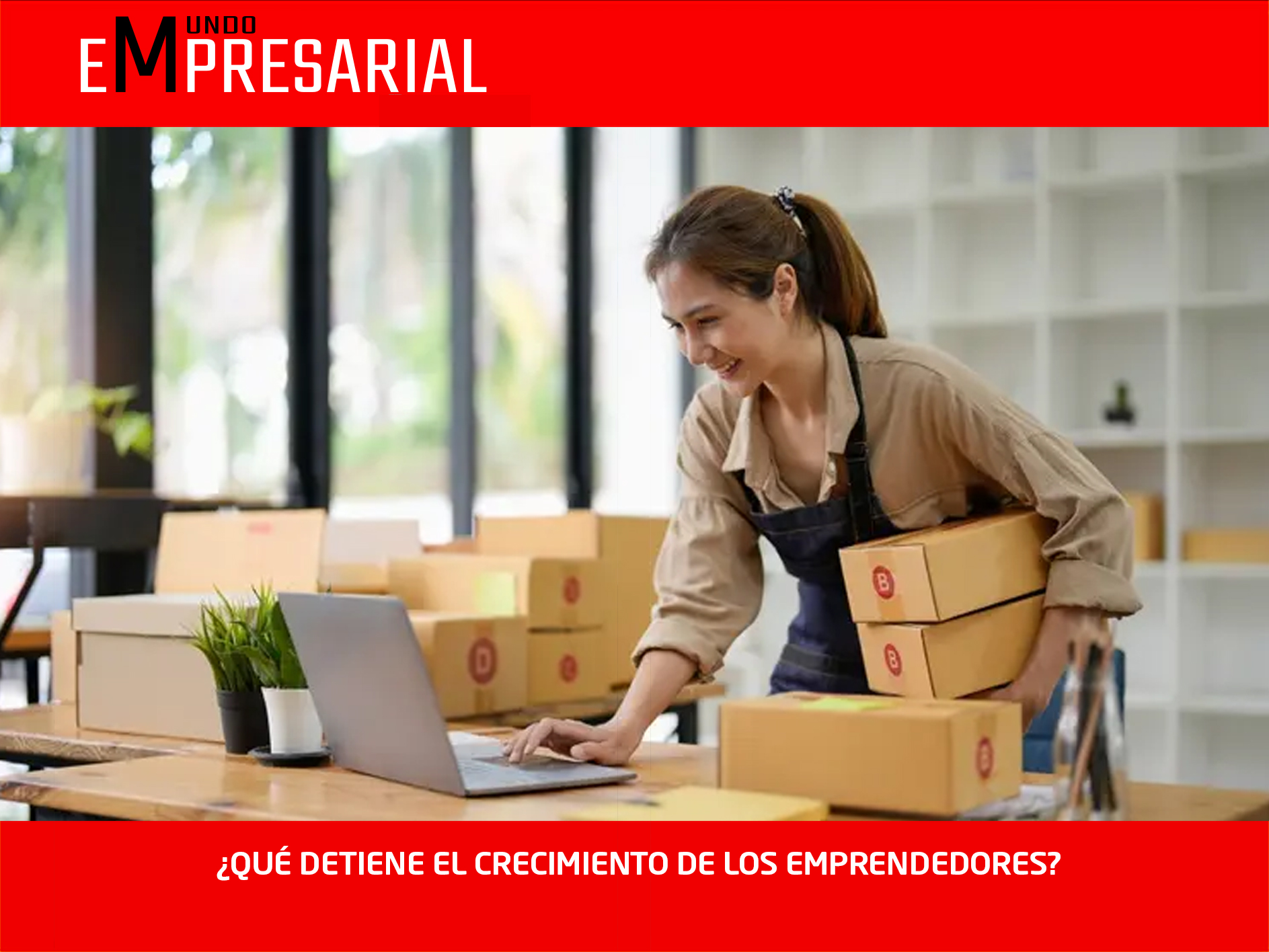 ¿QUÉ DETIENE EL CRECIMIENTO DE LOS EMPRENDEDORES?