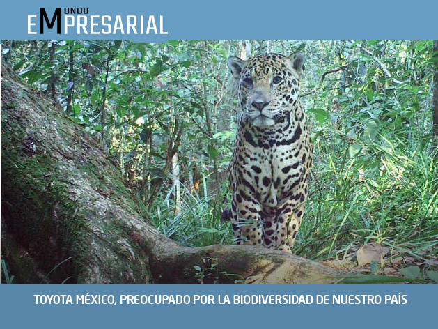 TOYOTA MÉXICO, PREOCUPADO POR LA BIODIVERSIDAD DE NUESTRO PAÍS